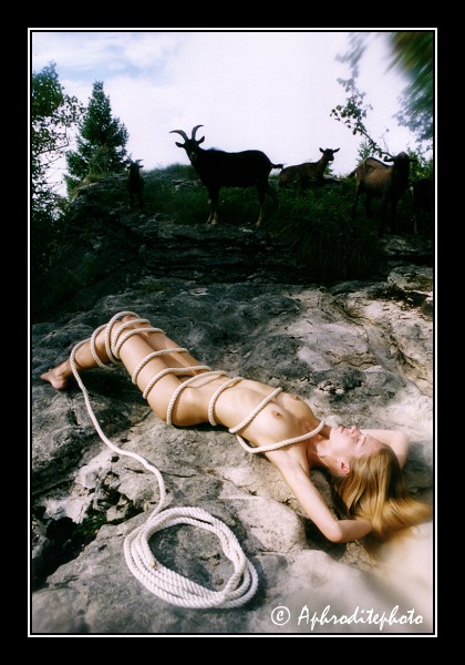 65 Mes biquettes 2